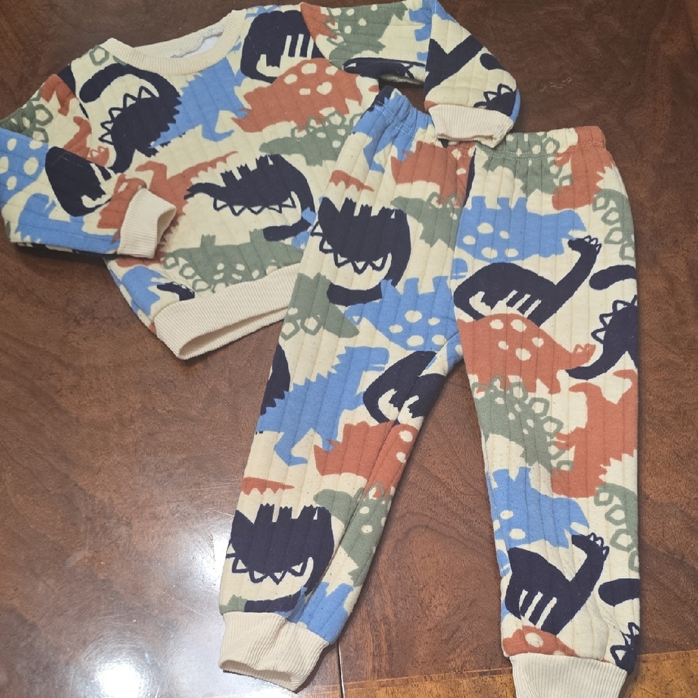 Kids Dinosaur Print Matching Set‎